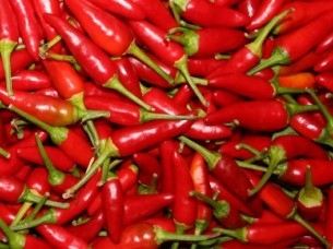 Red Dried Chilli High Quality..