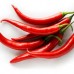 Best Quality Dried Red Chilli