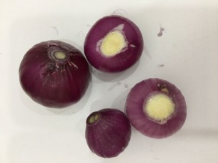 Vietnam Fresh Shallot Onion..