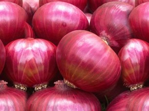 Indian Fresh Red Onion..