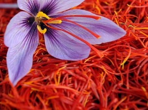 Premium Quality Natural Saffron..