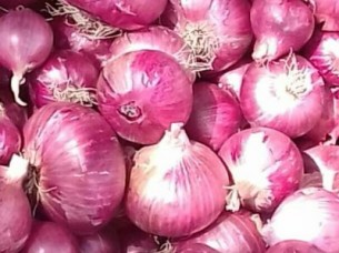Onion..