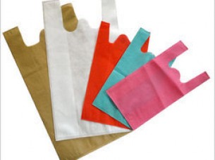 Non Woven and Paper bags..