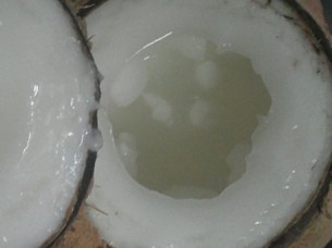 Wax coconut (full inside)..