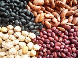 Black Kidney Beans/White Kidney Beans/Red Kidney Beans/Spe..