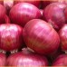 Fresh Onion Supplier From India
