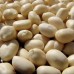 High Quality Raw Peanut Kernel 50/60 and Raw Peanut in Shell for sale