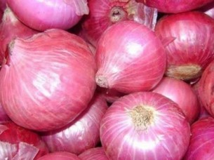 Top Quality Fresh Onion Supplier From India