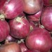 Wholesale Red Onion Supplier