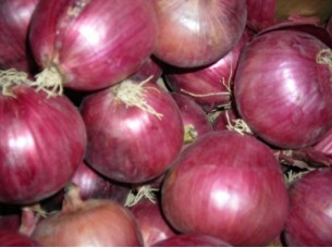 Best Quality Red Onion Supplier & Exporter