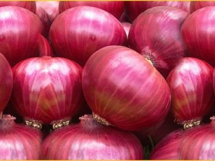 Fresh Red Big Onion For Sale..