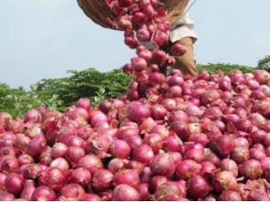 Fresh Onion Supplier And Exporter From India..