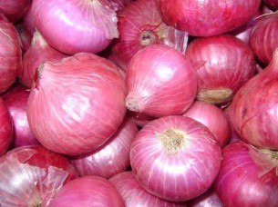 Indian Fresh Onion..