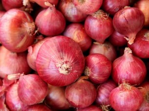 New Crop Fresh Red Onion For Sale..
