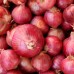 Best Quality Indian Red Onion