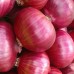 Indian Exporter Fresh Red Onion