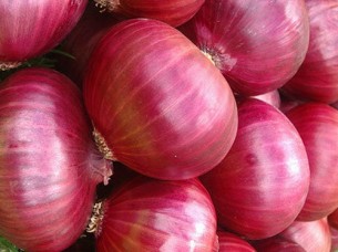 Red Fresh Onion Export Quality..