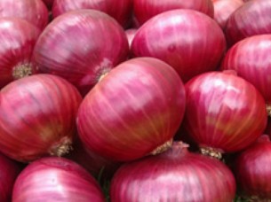 Fresh Red Onion For Sale..
