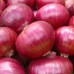 Red Fresh Onion Export Quality