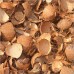 Fine Quality Coconut Shell