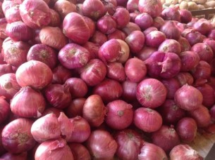 Fresh Red Onion Supplier At Wholesale Price..