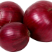 Fresh Red Onion Exporter At Wholesale Price From India