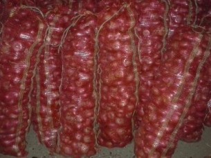 Fresh Red Onion Exporter..