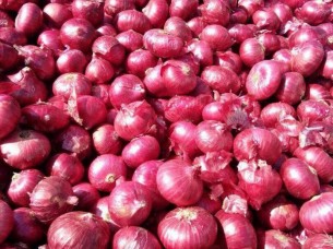 Fresh Red Onion Exporter At Wholesale Price From India..