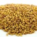 Premium Alfalfa Seeds in Bulk