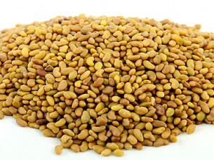 Best Quality Alfalfa Seeds