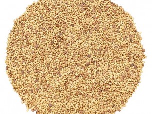 Best Quality Alfalfa Seeds for growing animal feed grass..