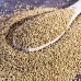 Buy Bulk Alfalfa Seeds / Premium Alfalfa seeds in Bulk