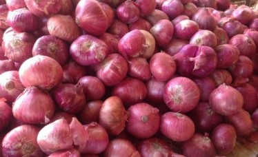 Fresh Red Onion Supplier At Wholesale Price