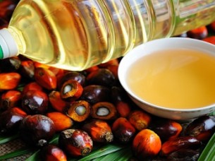 Palm Oil Competitive Price