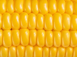 High Quality Healty Corn
