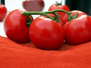 Freeze Dried Tomato Slices/Powder