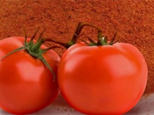 Freeze Dried Tomato Slices/Flakes/Powder