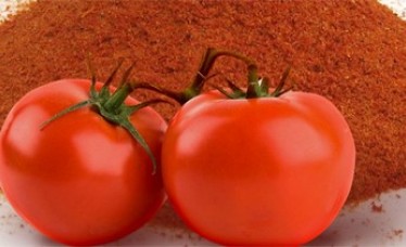 Freeze Dried Tomato Slices/Flakes/Powder