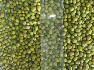 Green Mung Beans, Kidney Beans, Navy Beans