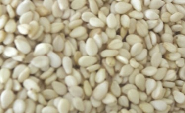 White Sesame Seeds