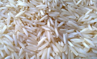 Basmati Parboiled Golden Rice Pusa