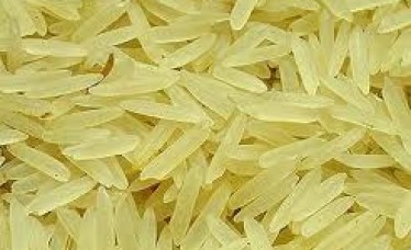 Basmati Parboiled Golden Rice Sella