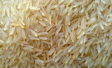 Basmati Rice 1121 For Saudi Market