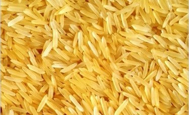 Basmati rice Golden 1509