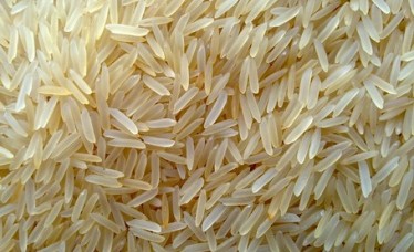 Basmati Rice Gulf Countries