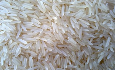 Basmati Rice PUSA for Saudi Market