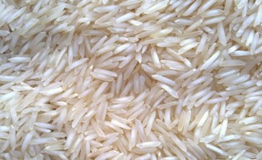 1509 Basmati Rice Sella For Europe Countries