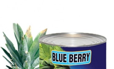 Best Supplier of Canned Pineapple Slices