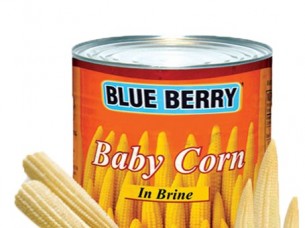Sweet Baby corn Canned