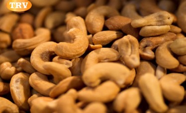 Cashew Nuts SW-180